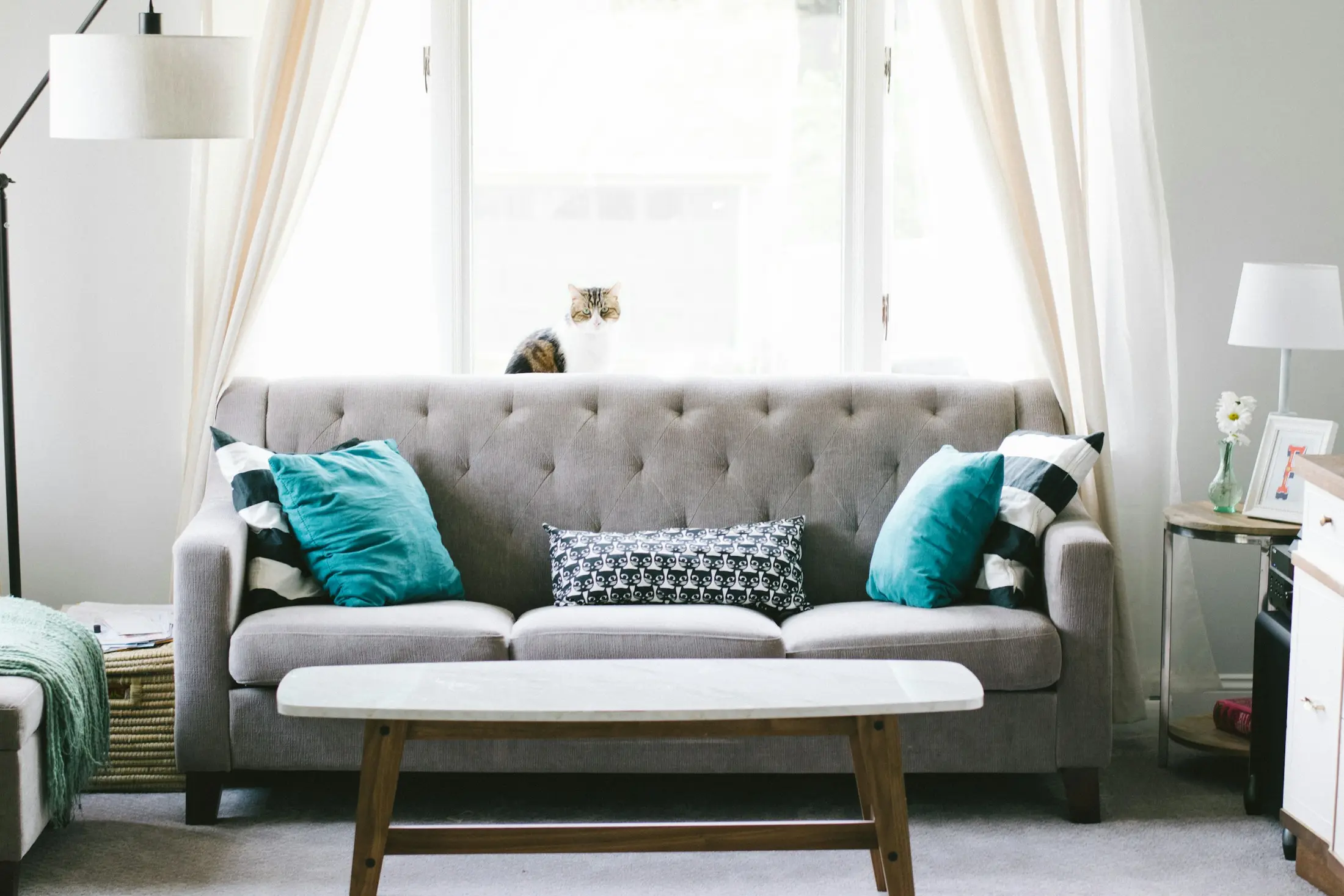 Modern furnished apartment with tidy seating, table and soft furnishings